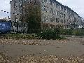 Кобра в Кобрe
